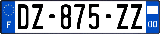 DZ-875-ZZ