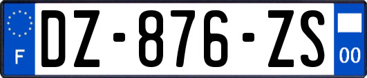 DZ-876-ZS