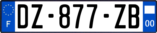 DZ-877-ZB