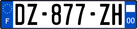 DZ-877-ZH