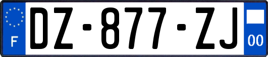 DZ-877-ZJ