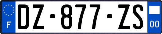 DZ-877-ZS