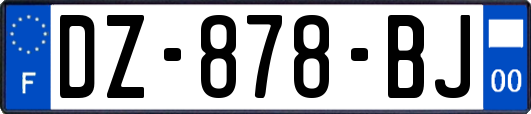 DZ-878-BJ