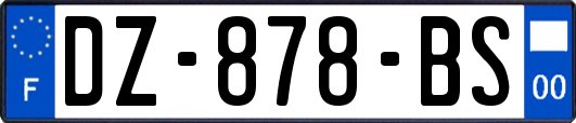 DZ-878-BS