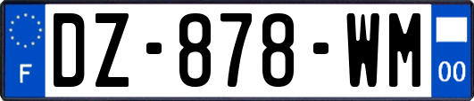 DZ-878-WM