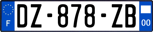 DZ-878-ZB