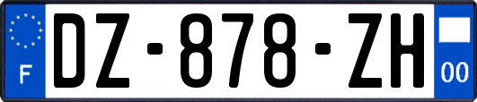 DZ-878-ZH