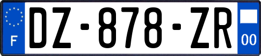 DZ-878-ZR