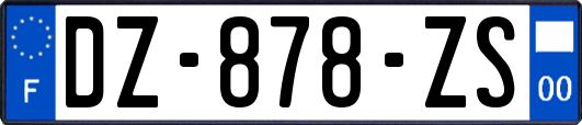 DZ-878-ZS