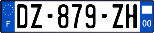 DZ-879-ZH