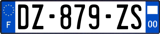 DZ-879-ZS