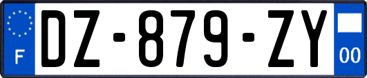 DZ-879-ZY