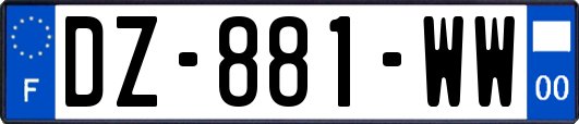 DZ-881-WW