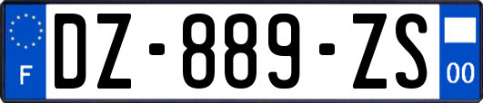 DZ-889-ZS