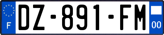 DZ-891-FM