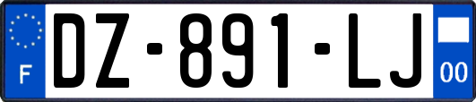 DZ-891-LJ