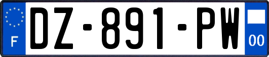 DZ-891-PW