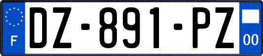 DZ-891-PZ