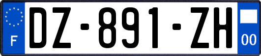 DZ-891-ZH