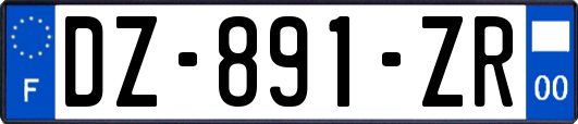 DZ-891-ZR