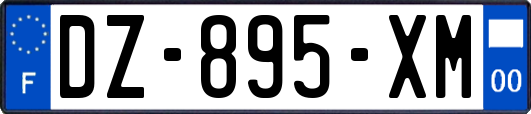 DZ-895-XM