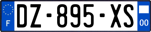 DZ-895-XS