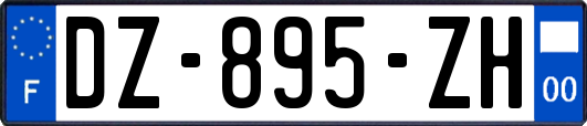 DZ-895-ZH