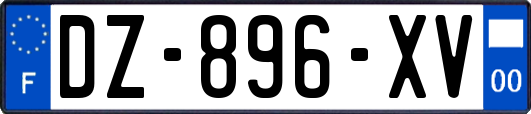 DZ-896-XV