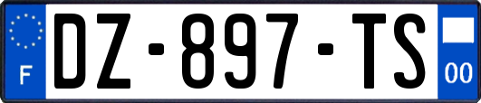 DZ-897-TS