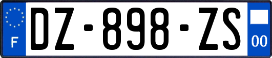 DZ-898-ZS