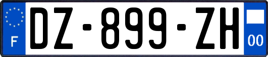 DZ-899-ZH