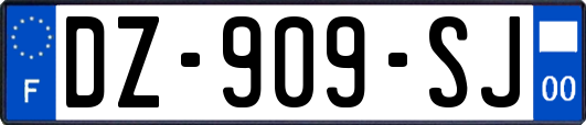 DZ-909-SJ