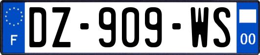 DZ-909-WS