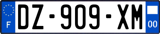 DZ-909-XM