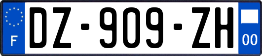 DZ-909-ZH