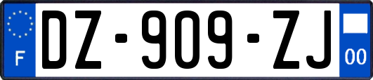 DZ-909-ZJ