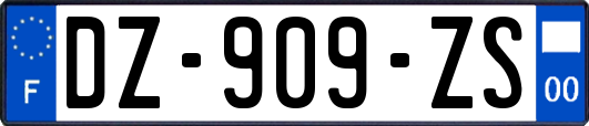 DZ-909-ZS