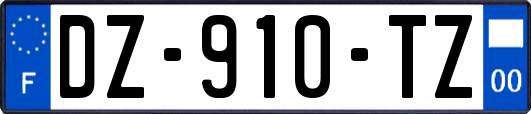 DZ-910-TZ