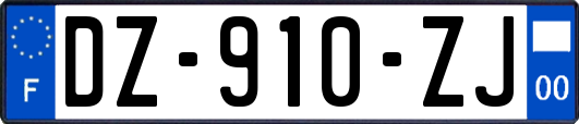 DZ-910-ZJ