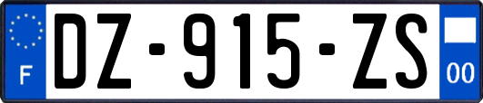 DZ-915-ZS