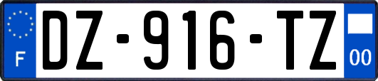 DZ-916-TZ