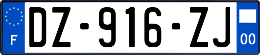 DZ-916-ZJ