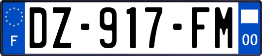 DZ-917-FM