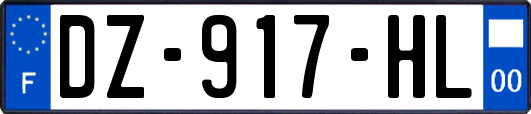 DZ-917-HL