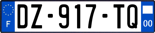 DZ-917-TQ