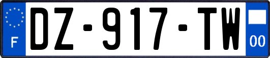 DZ-917-TW