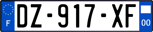 DZ-917-XF