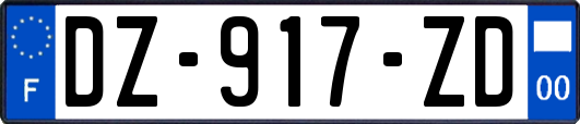 DZ-917-ZD