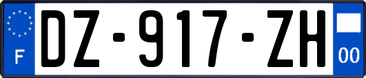 DZ-917-ZH