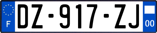 DZ-917-ZJ